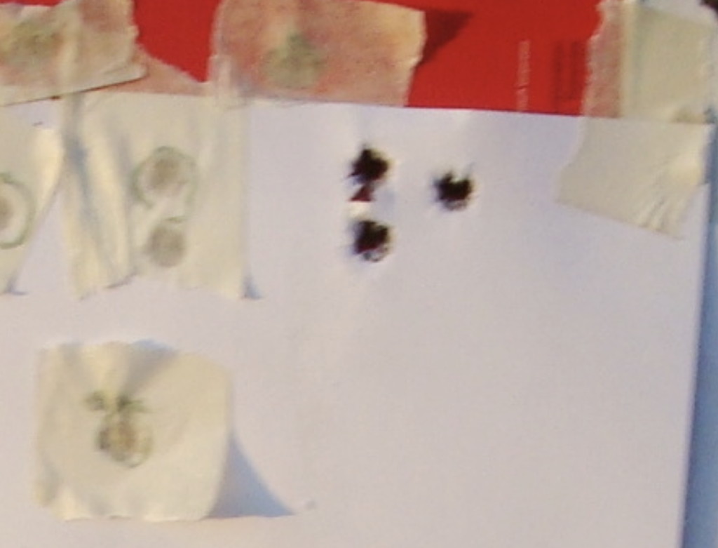 Screenshot 2026-01-11 at 22.29.46